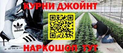 прущие крисы Северобайкальск