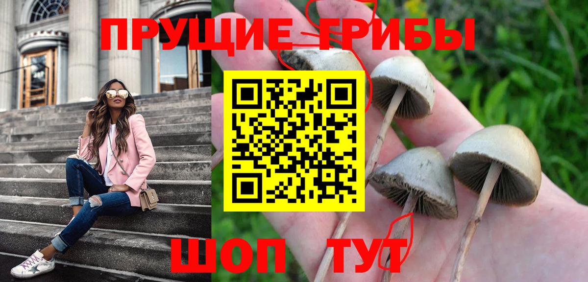 Псилоцибиновые грибы Magic Shrooms Партизанск